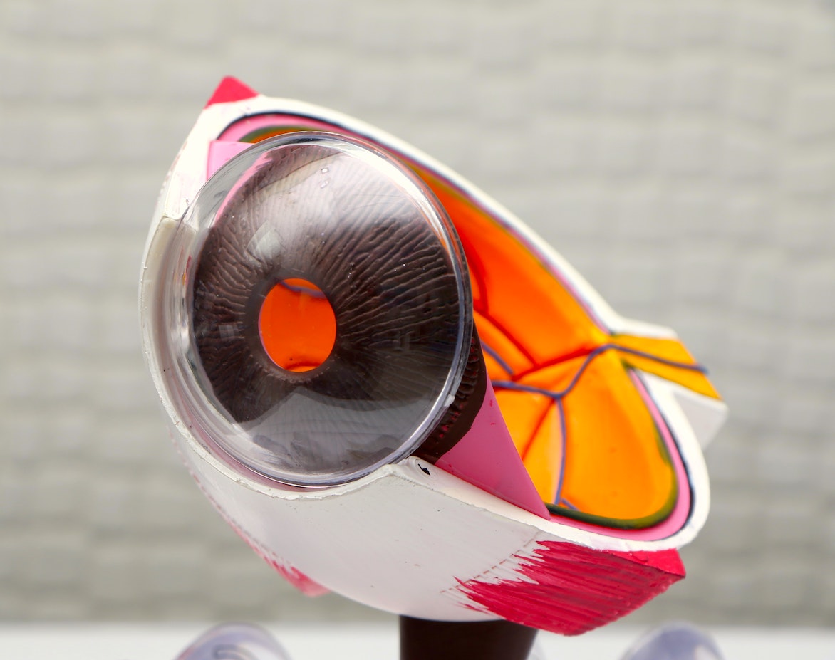 Retina Eye Specialists in Staten Island Ophthalmologists